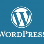 【WordPress】WPtouchプラグインを利用した場合、特定のURLのみPCサイトを表示させる方法。